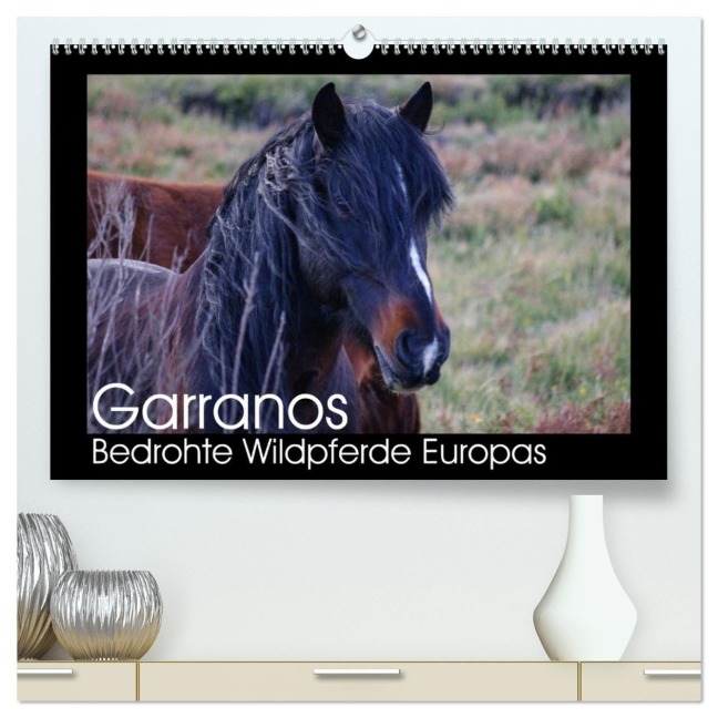 Garranos - Bedrohte Wildpferde Europas (hochwertiger Premium Wandkalender 2026 DIN A2 quer), Kunstdruck in Hochglanz - Sabine Bengtsson/Www. Perlenfaenger. Com