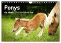 Ponys, die starken Persönlichkeiten (Wandkalender 2025 DIN A4 quer), CALVENDO Monatskalender - Berit Seiboth