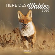 Cover-Bild zum Titel 'Tiere des Waldes 2026' von ''