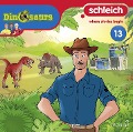 Schleich Dinosaurs CD 13 - 