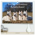 Weißer Schweizer Schäferhund (hochwertiger Premium Wandkalender 2025 DIN A2 quer), Kunstdruck in Hochglanz - Sigrid Starick