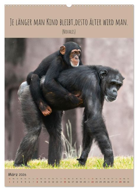 InsideView 8