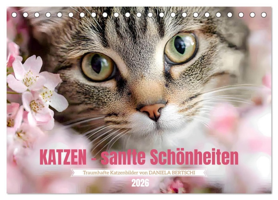 Katzen - sanfte Schönheiten (Tischkalender 2026 DIN A5 quer), CALVENDO Monatskalender - Daniela Bertschi