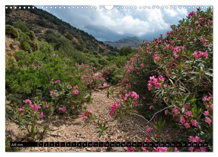 InsideView 12