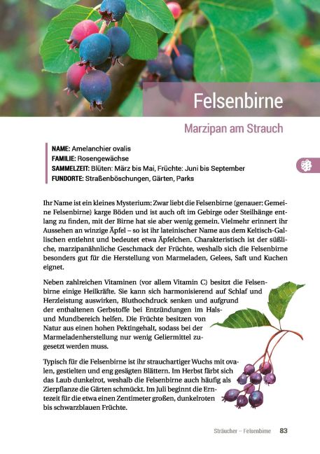 InsideView 14