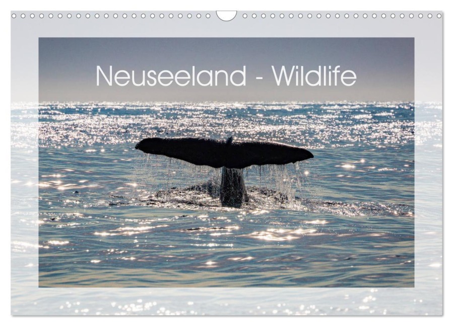 Neuseeland - Wildlife (Wandkalender 2025 DIN A3 quer), CALVENDO Monatskalender - Peter Schürholz