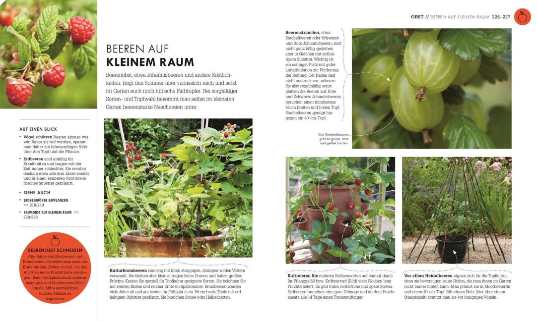 InsideView 7