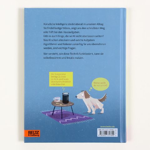 InsideView 5