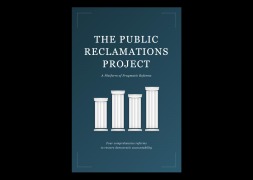 Cover-Bild zum Titel 'The Public Reclamations Project' von 'Ben Katz'