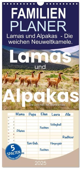 Familienplaner 2025 - Lamas und Alpakas - Die weichen Neuweltkamele. mit 5 Spalten (Wandkalender, 21 x 45 cm) CALVENDO - Sf Sf