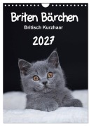 Cover-Bild zum Titel 'Briten Bärchen - Britisch Kurzhaar 2027 (Wandkalender 2027 DIN A4 hoch), CALVENDO Monatskalender' von 'Heidi Bollich'