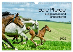 Cover-Bild zum Titel 'Edle Pferde - ausgelassen und unbeschwert (Wandkalender 2026 DIN A4 quer), CALVENDO Monatskalender' von 'Kerstin Waurick'