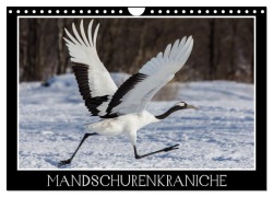 Cover-Bild zum Titel 'Mandschurenkraniche (Wandkalender 2026 DIN A4 quer), CALVENDO Monatskalender' von 'Thomas Schwarz Fotografie'