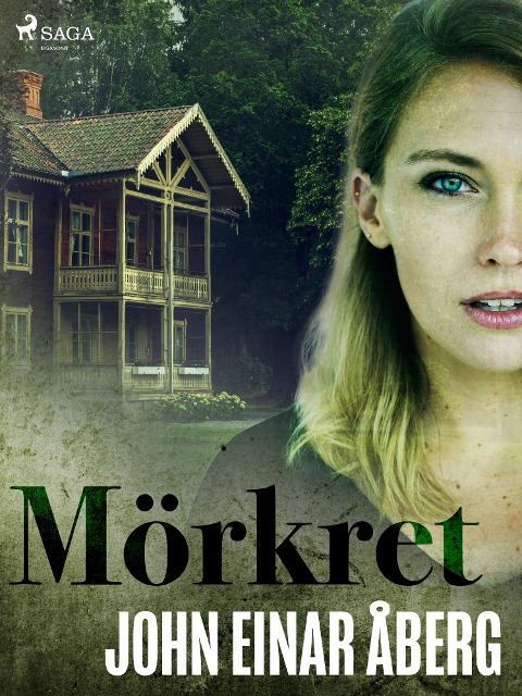 Mörkret - John Einar Åberg
