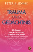 Cover-Bild zum Titel 'Trauma und Gedächtnis' von 'Peter A. Levine'
