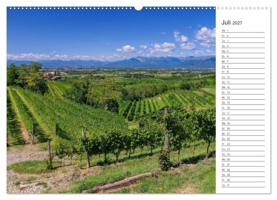 InsideView 12