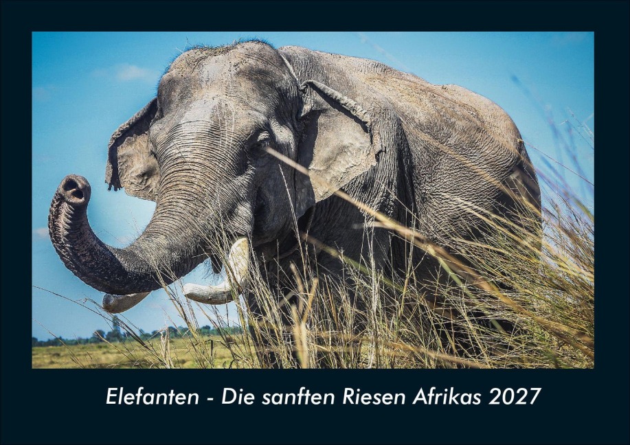 Elefanten - Die sanften Riesen Afrikas 2027 Fotokalender DIN A4 - Tobias Schmitt, Kevin Heber