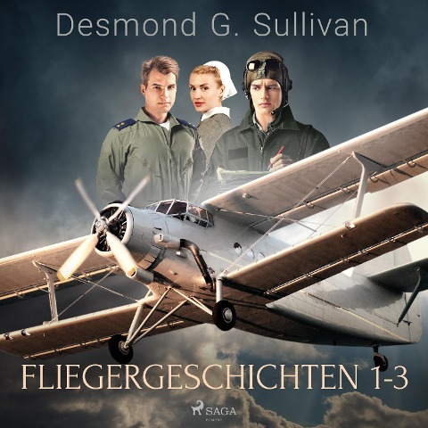 Fliegergeschichten 1-3 - Desmond G. Sullivan