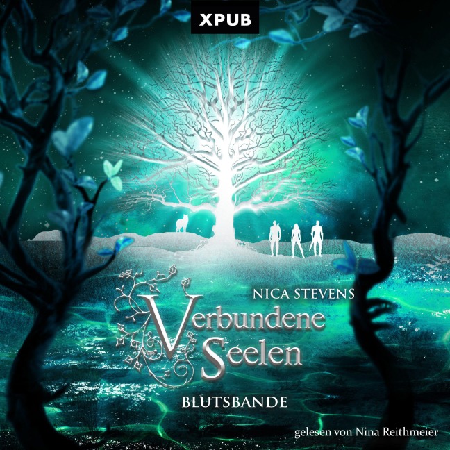 Verbundene Seelen- Teil 2 - Nica Stevens