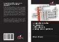 Cover-Bild zum Titel 'La gestione della conoscenza nell'industria alberghiera nigeriana' von 'Bridget Abiagam'