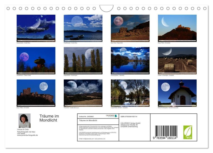 InsideView 5
