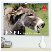 Cover-Bild zum Titel 'Esel. Hübsch, klug und fleißig (hochwertiger Premium Wandkalender 2026 DIN A2 quer), Kunstdruck in Hochglanz' von 'Elisabeth Stanzer'