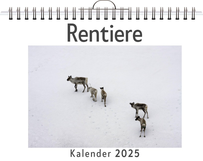 Rentiere - Tim König