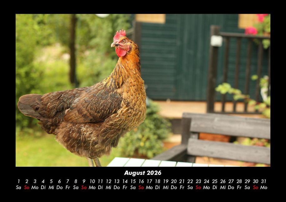 InsideView 12