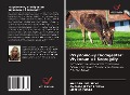 Cover-Bild zum Titel 'Przydomowy Biodigester: Wykonanie I Szczegó¿y' von 'Wandenúsia Silva, Amanda Jéssica Silva, Mateus Costa'