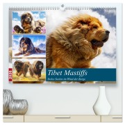 Cover-Bild zum Titel 'Tibet Mastiffs. Stolze Seelen im Wind der Berge (hochwertiger Premium Wandkalender 2026 DIN A2 quer), Kunstdruck in Hochglanz' von 'Rose Hurley'