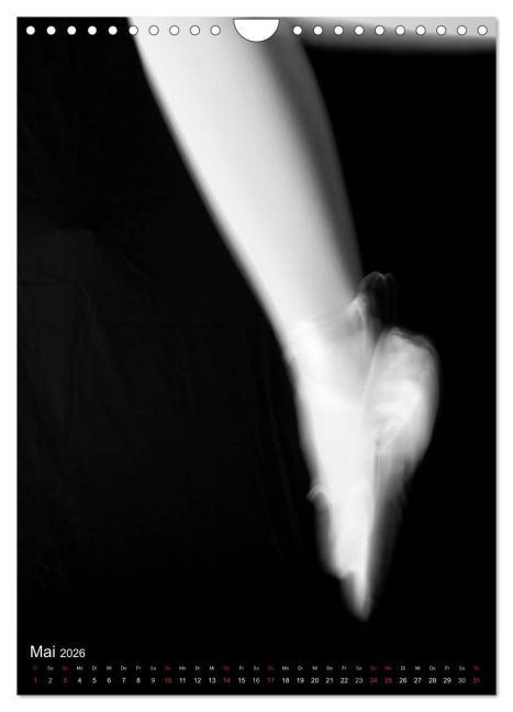 InsideView 10