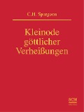 Cover-Bild zum Titel 'Kleinode göttlicher Verheißungen' von 'Charles Haddon Spurgeon'