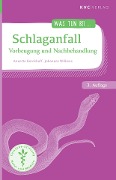 Cover-Bild zum Titel 'Schlaganfall' von 'Annette Kerckhoff, Johannes Wilkens'