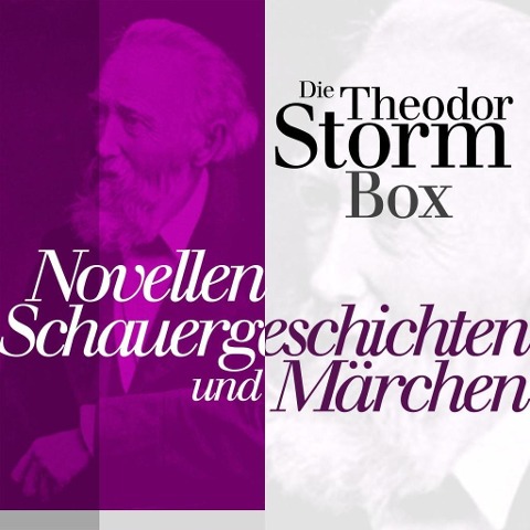 Novellen, Schauergeschichten und Märchen - Theodor Storm