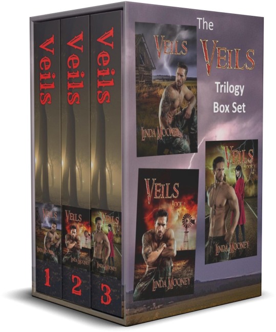 The VEILS Trilogy Box Set - Linda Mooney