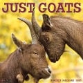 Goats 2025 12 X 12 Wall Calendar - Willow Creek Press