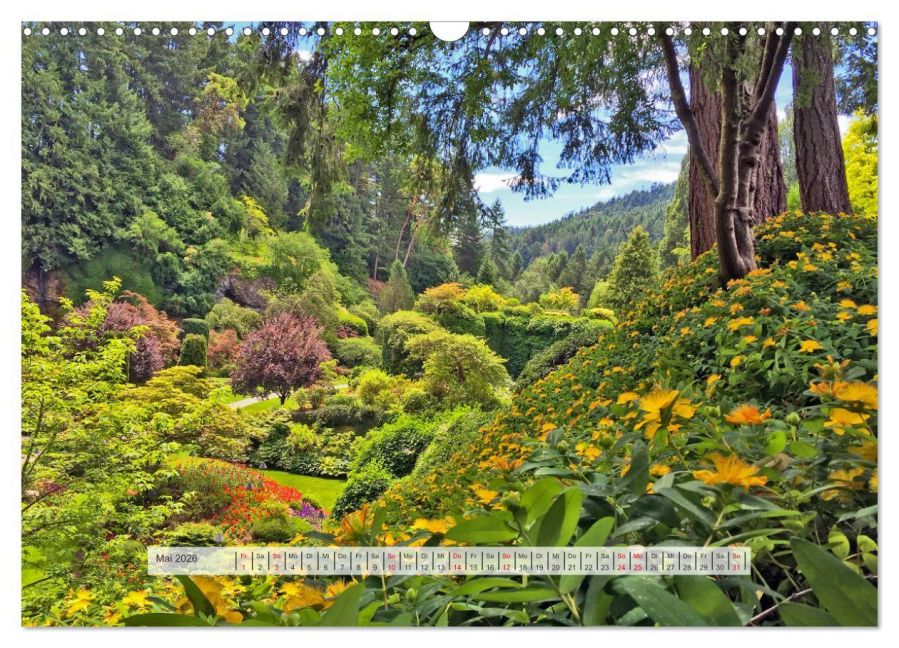 InsideView 10