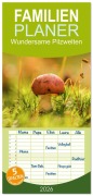 Cover-Bild zum Titel 'Familienplaner 2026 - Wundersame Pilzwelten mit 5 Spalten (Wandkalender, 21 x 45 cm) CALVENDO' von 'Simone Sperber'