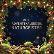 Cover-Bild zum Titel 'Dein Adventskalender: Naturgeister' von 'Amelia Schwarz'