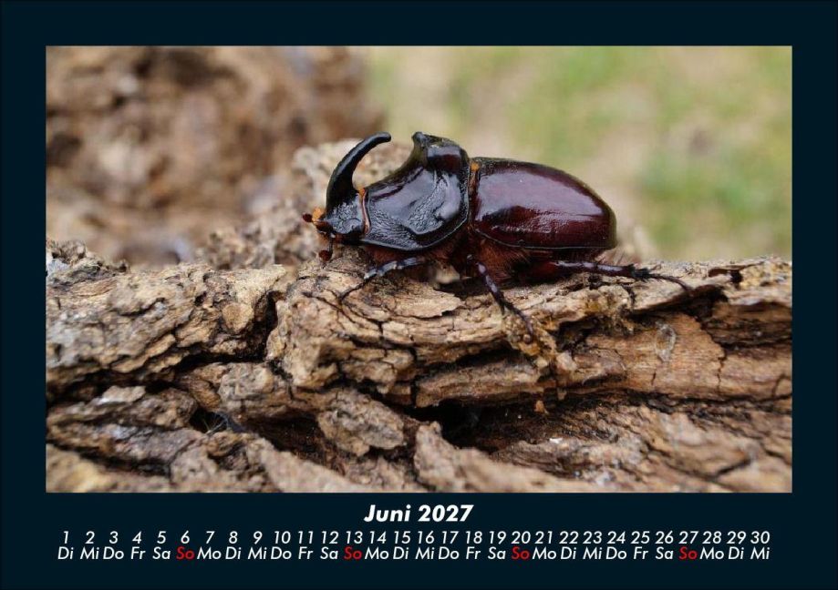 InsideView 10