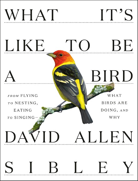 What It's Like to Be a Bird - David Allen Sibley