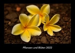 Pflanzen und Blüten 2022 Fotokalender DIN A3 - Tobias Becker