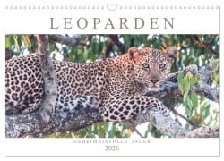 Cover-Bild zum Titel 'Leoparden - Geheimnisvolle Jäger (Wandkalender 2026 DIN A3 quer), CALVENDO Monatskalender' von 'Andreas Lippmann'