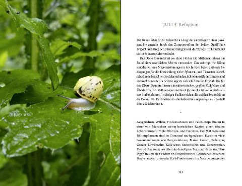 InsideView 20