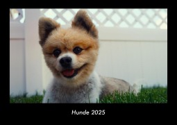 Cover-Bild zum Titel 'Hunde 2025 Fotokalender DIN A3' von 'Tobias Becker'