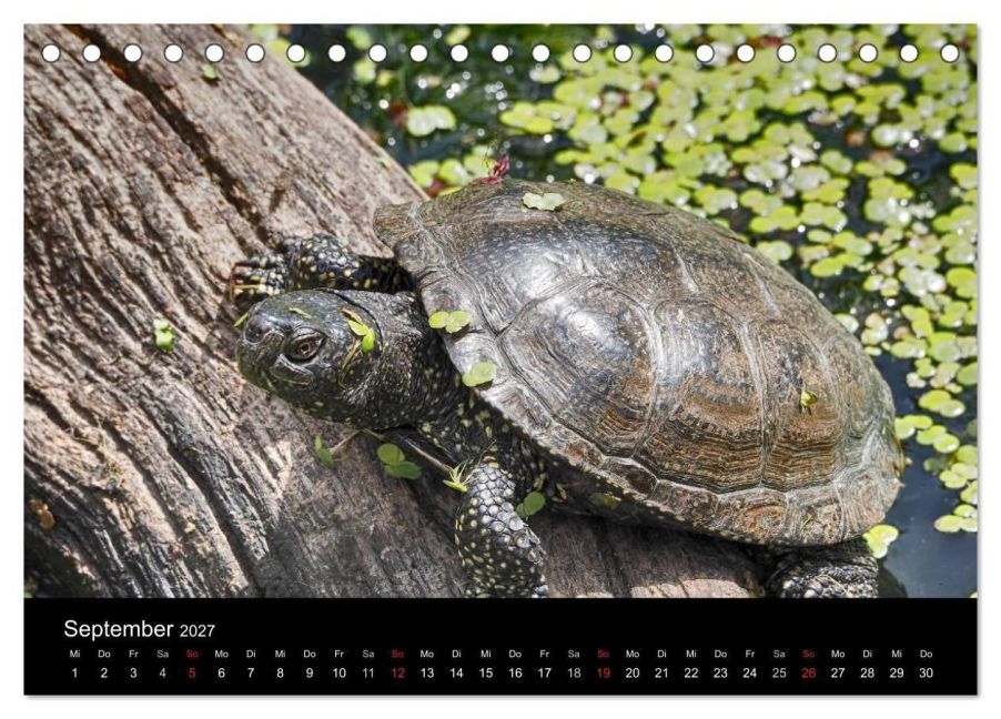 InsideView 14