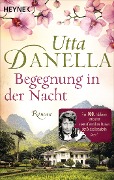 Begegnung in der Nacht - Utta Danella