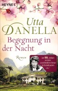 Cover-Bild zum Titel 'Begegnung in der Nacht' von 'Utta Danella'