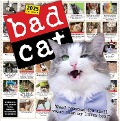 Bad Cat Wall Calendar 2025 - Harry Prichett, Rob Battles, Richard D Rosen