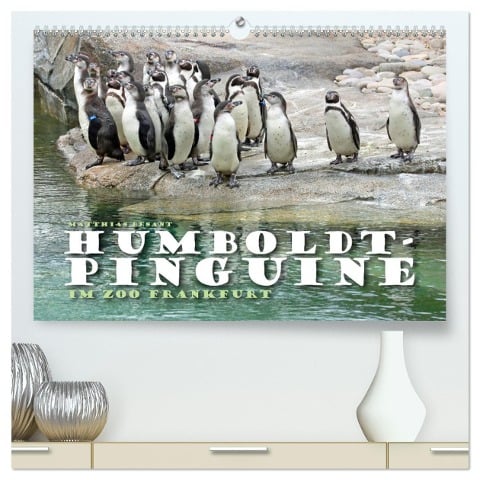 HUMBOLDTPINGUINE (hochwertiger Premium Wandkalender 2024 DIN A2 quer), Kunstdruck in Hochglanz - Matthias Besant